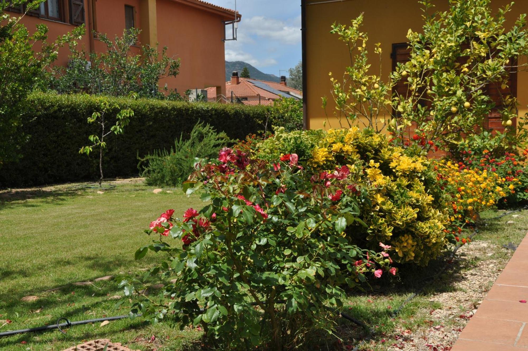 B&B Gassa D'Amante Capoterra Exterior foto